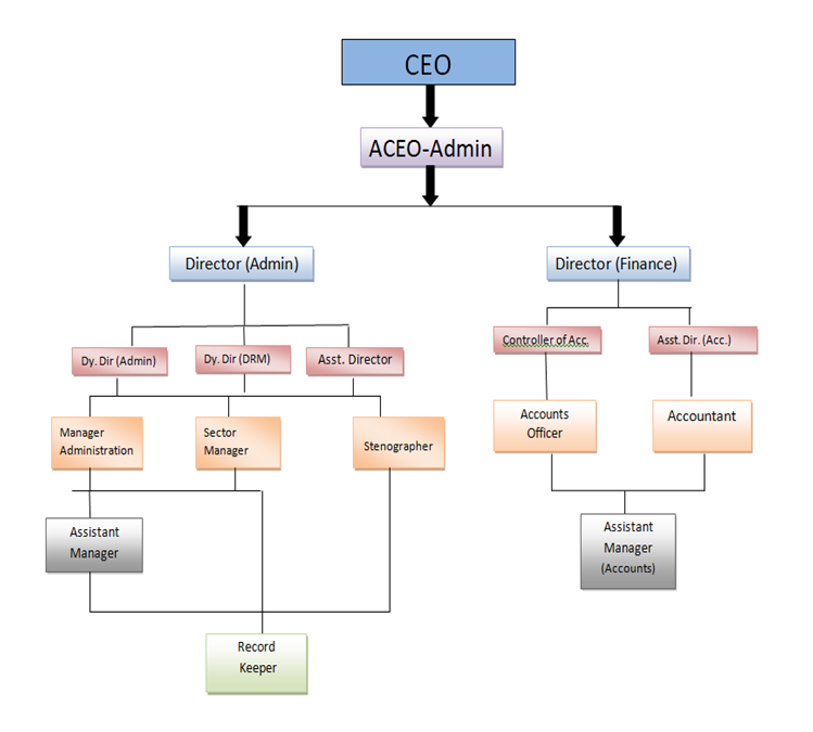 Eoc Organization Chart