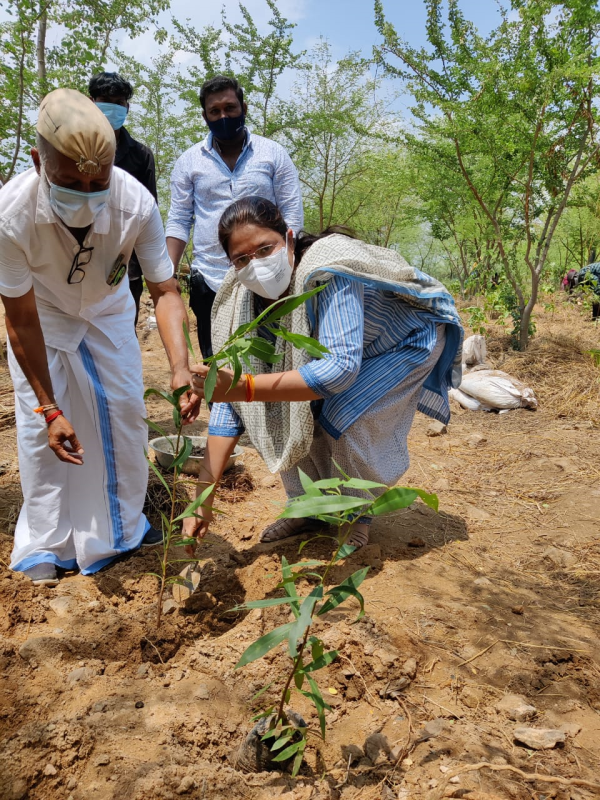 Plantation at Smiritivan Museum Memorial Project bhuj  by CEO GSDMA